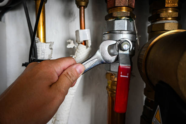 Best Sewer Line Repair  in Shenandoah, IA